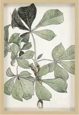 Bloom Ritning