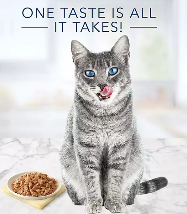 Blue Buffalo Tastefuls Pate Wet Cat Food, Variety Pack (5.5 oz., 32 ct.) - Eshop House LLC