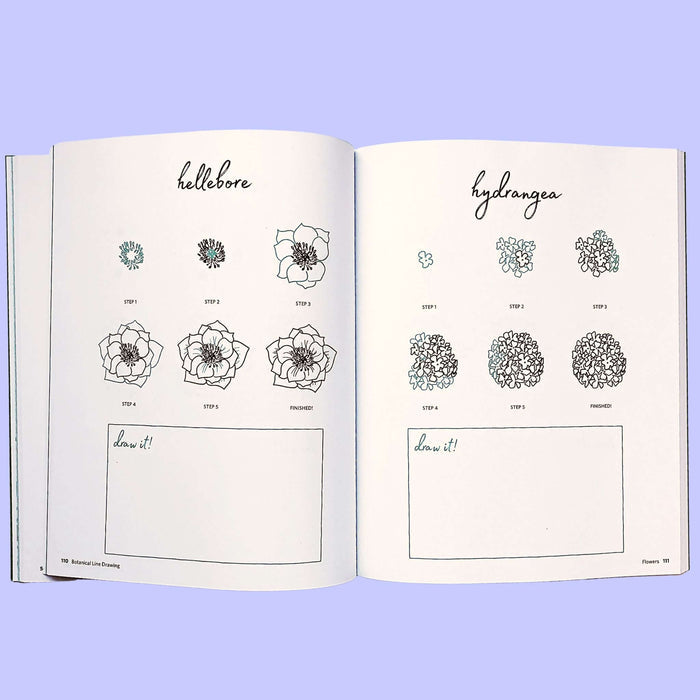Botanical Line Drawing by Peggy Dean | The Pigeon Letters