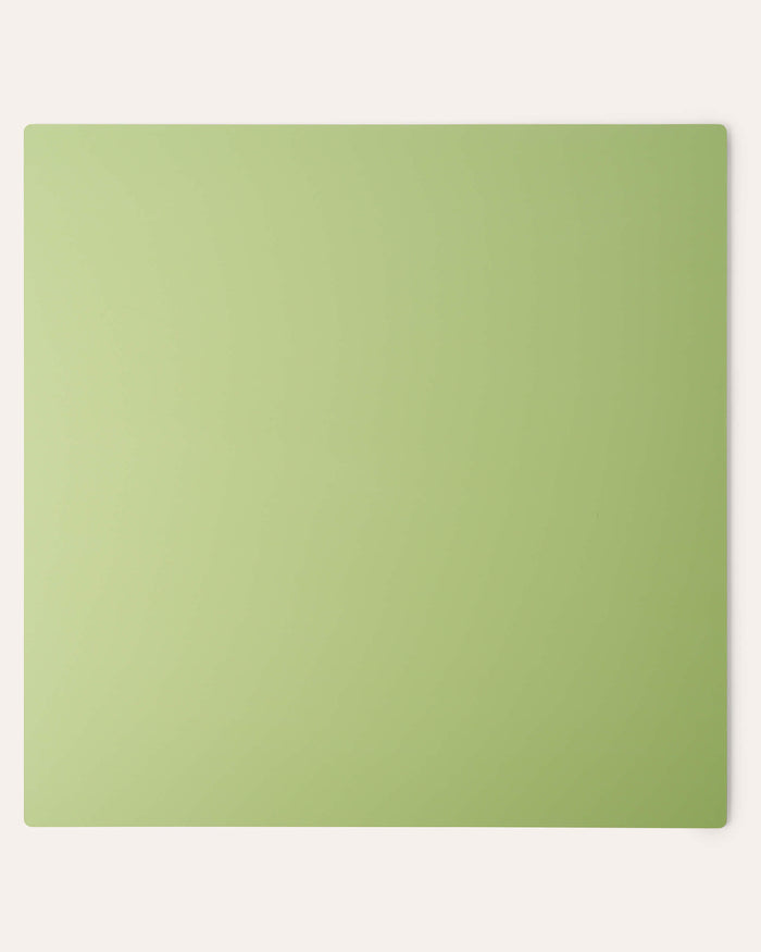Canvas SURFACE Backdrops - Double-sided Monochromatic Green