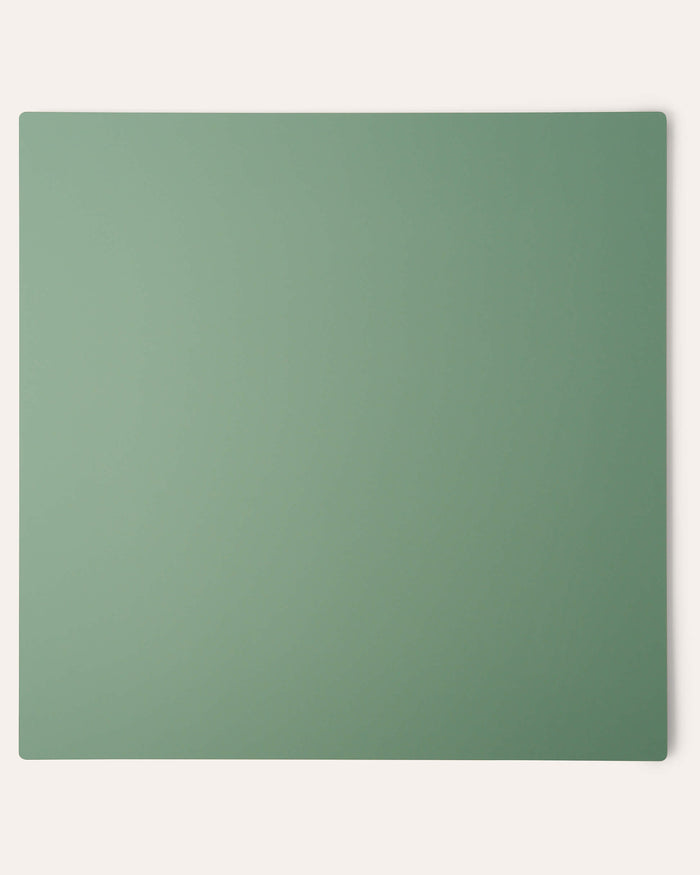 Canvas SURFACE Backdrops - Double-sided Monochromatic Green