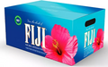 FIJI Natural Artesian Water (16.9 fl. oz., 24 pk.) - Eshop House LLC