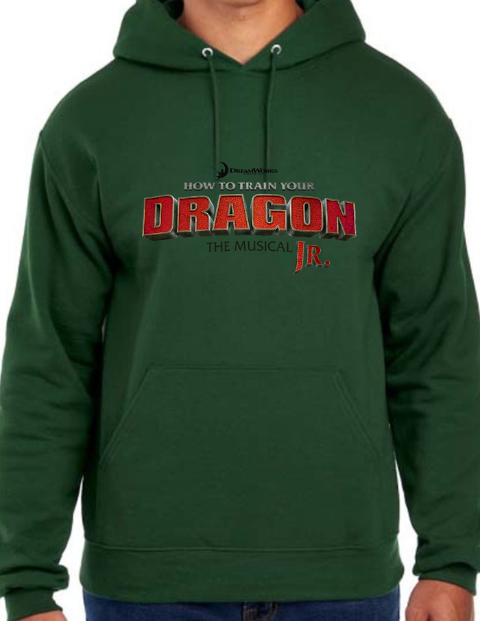 How to train your dragon Hoodie