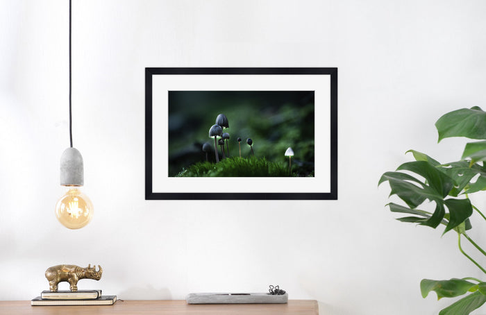 Mushroom "Atticus"- Fine Art Wall Art