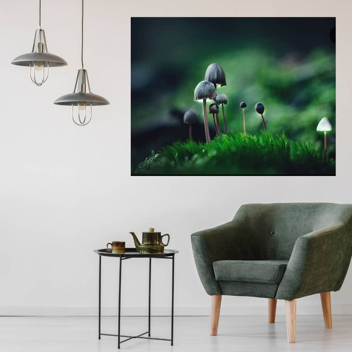 Mushroom "Atticus"- Fine Art Wall Art