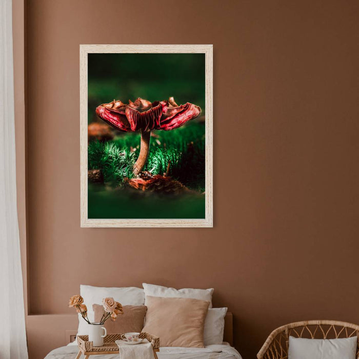 Mushroom "August"- Fine Art Wall Art