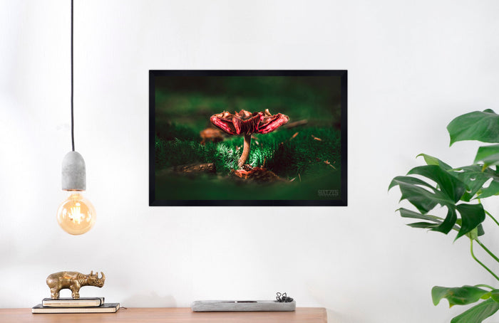 Mushroom "August"- Fine Art Wall Art