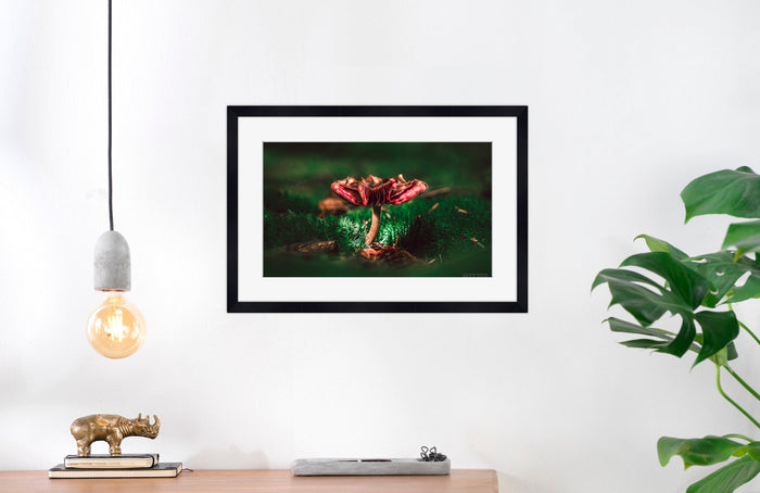 Mushroom "August"- Fine Art Wall Art