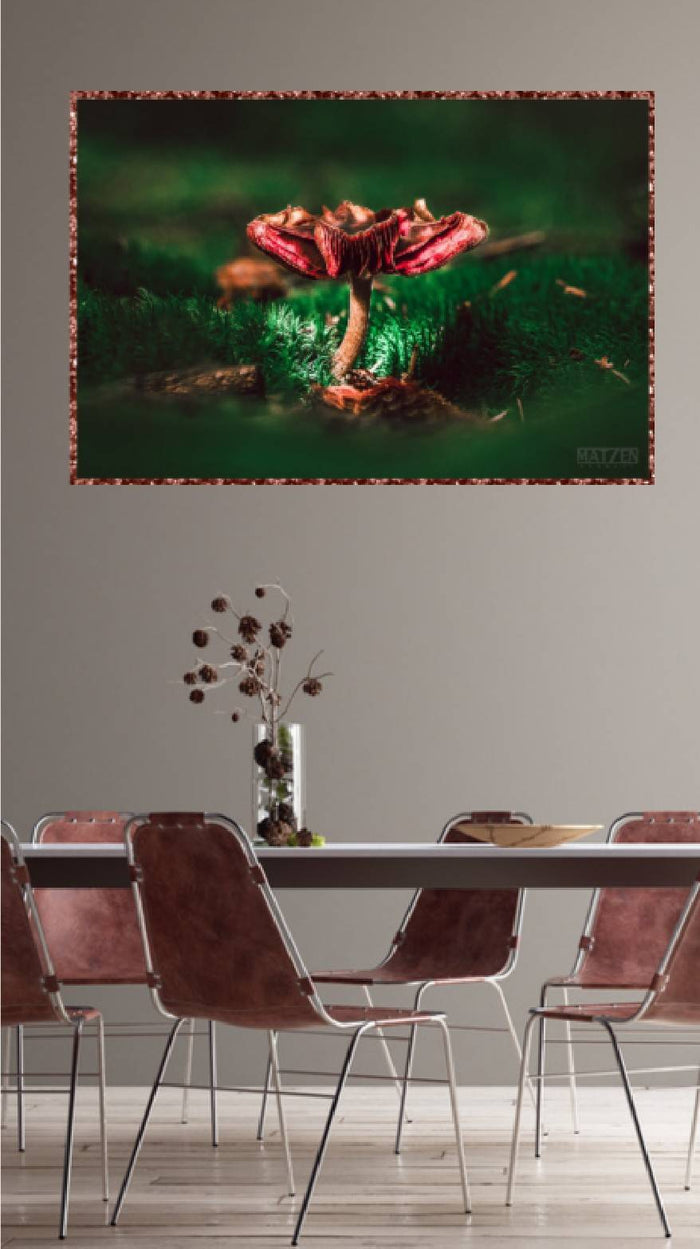 Mushroom "August"- Fine Art Wall Art