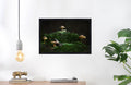 Mushroom "Aurelia"- Fine Art Wall Art