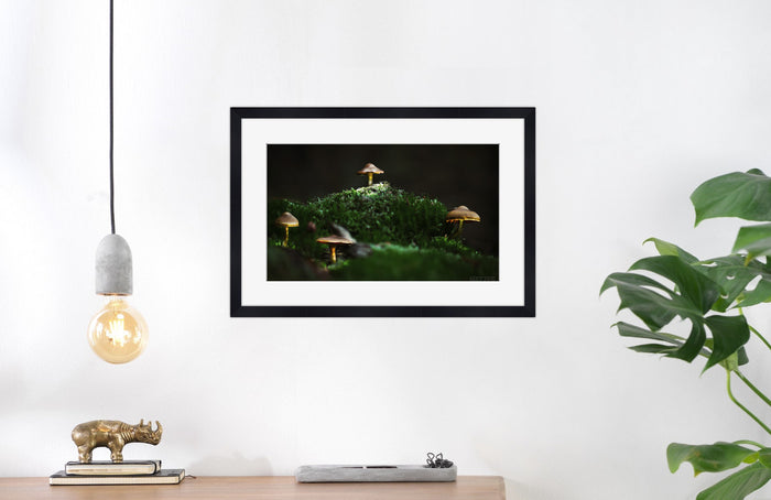Mushroom "Aurelia"- Fine Art Wall Art