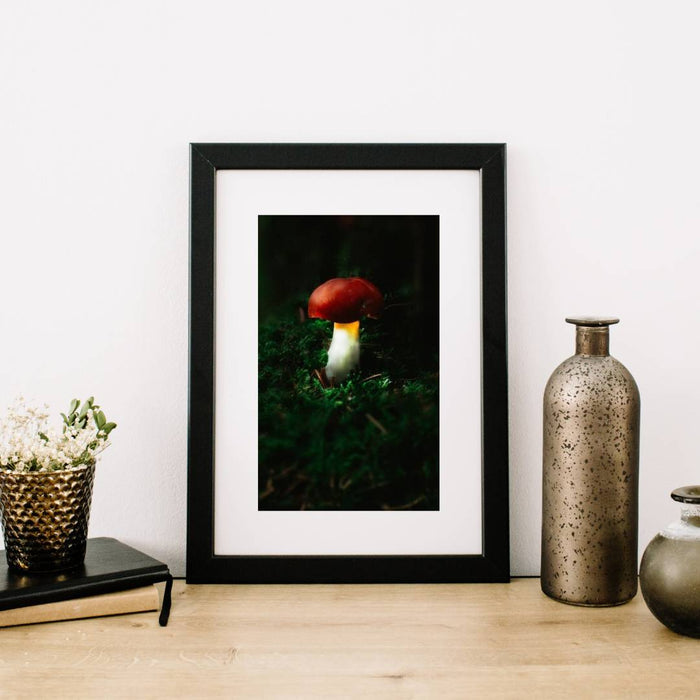 Mushroom "Bobby"- Fine Art Wall Art