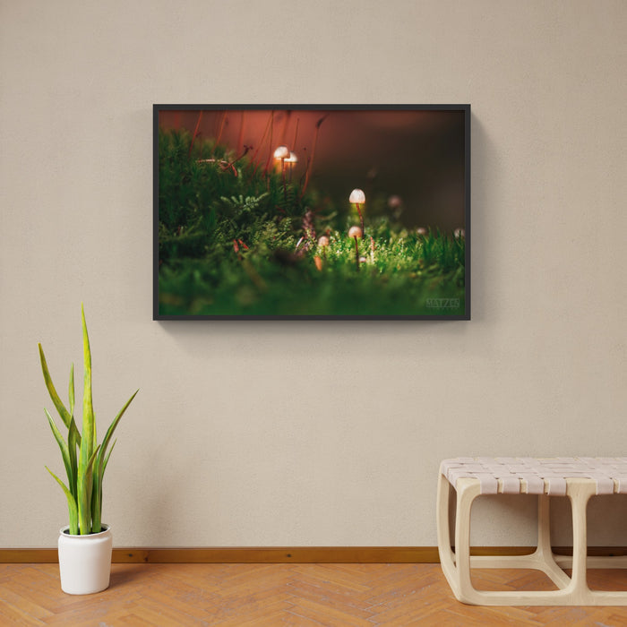 Mushroom "Buddies Family"- Fine Art Wall Art