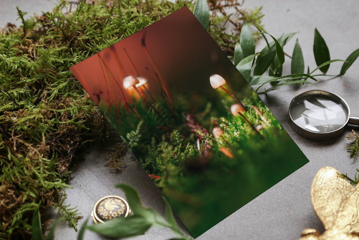 Mushroom "Buddies Family"- Fine Art Wall Art