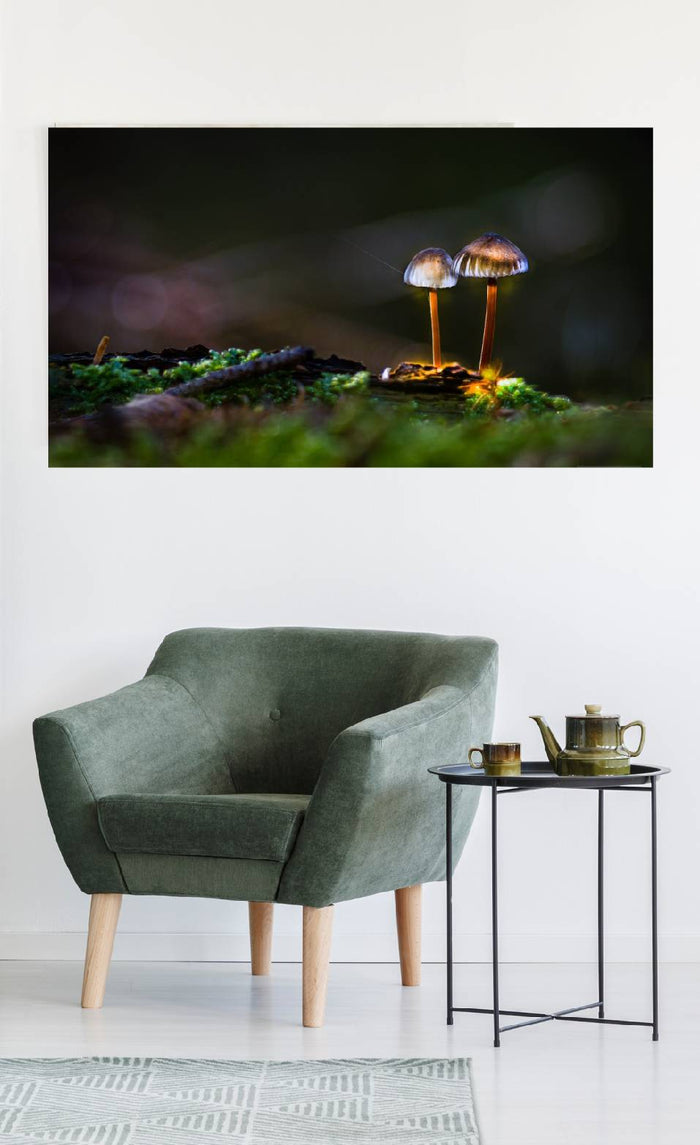 Mushroom "Couple"- Fine Art Wall Art