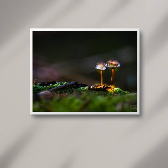 Mushroom "Couple"- Fine Art Wall Art