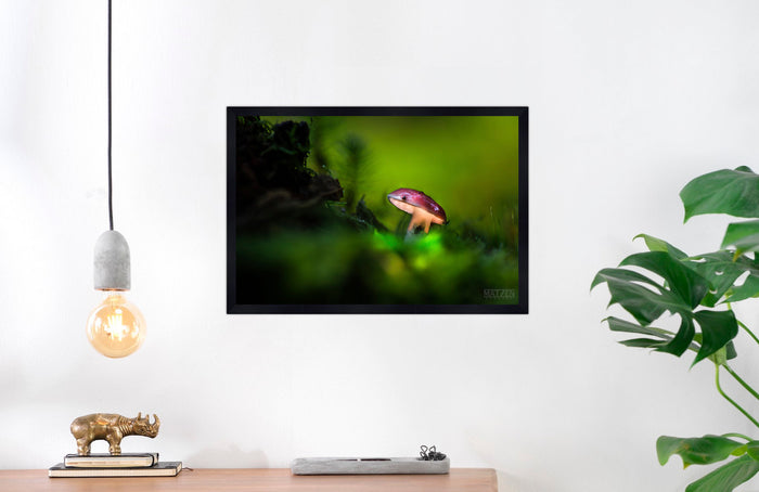Mushroom "John"- Fine Art Wall Art