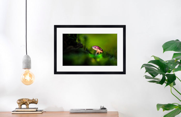 Mushroom "John"- Fine Art Wall Art