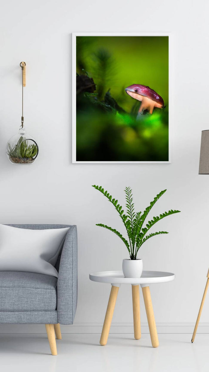Mushroom "John"- Fine Art Wall Art