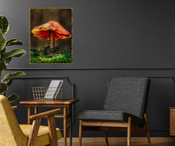 Mushroom "Juliette"- Fine Art Wall Art