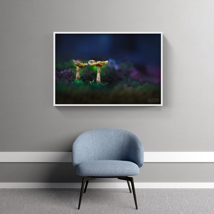 Mushroom "Lifecycle"- Fine Art Wall Art