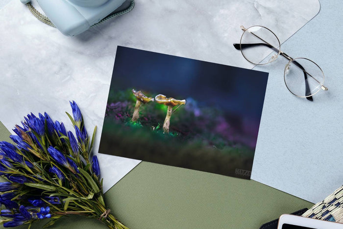 Mushroom "Lifecycle"- Fine Art Wall Art