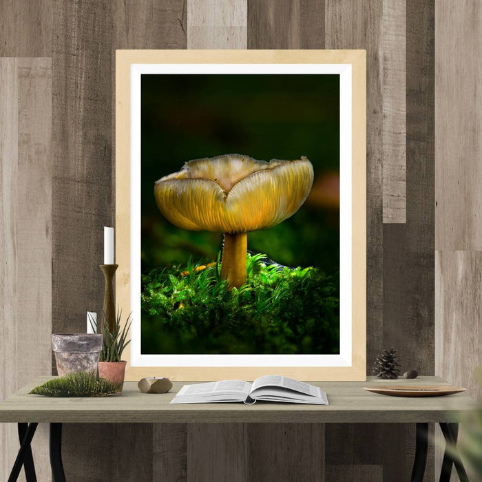 Mushroom "Lily"- Fine Art Wall Art