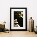 Mushroom "Little Lamps"- Fine Art Wall Art