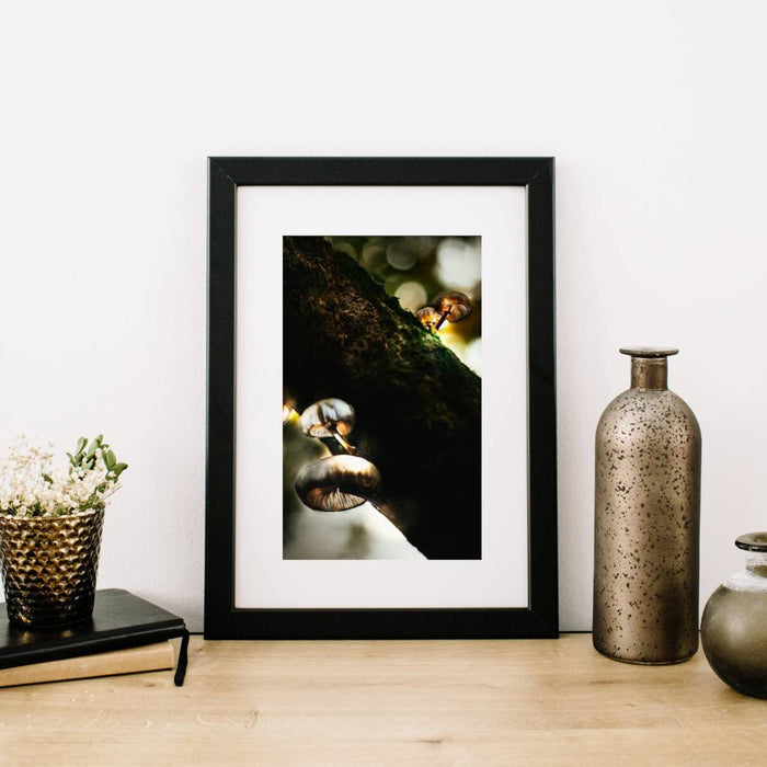 Mushroom "Little Lamps"- Fine Art Wall Art