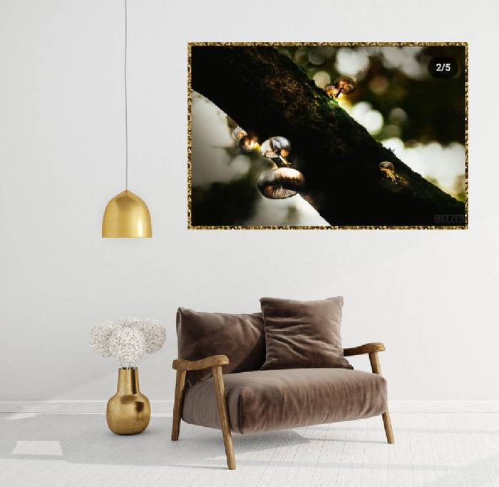 Mushroom "Little Lamps"- Fine Art Wall Art