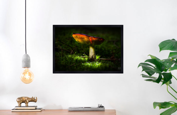 Mushroom "Loreant"- Fine Art Wall Art