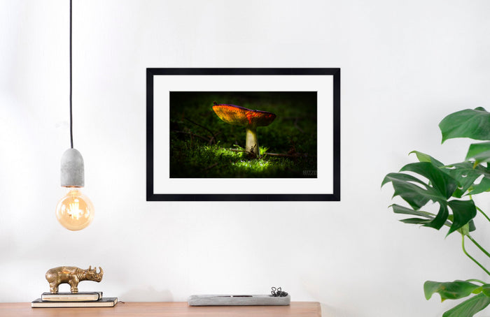 Mushroom "Loreant"- Fine Art Wall Art