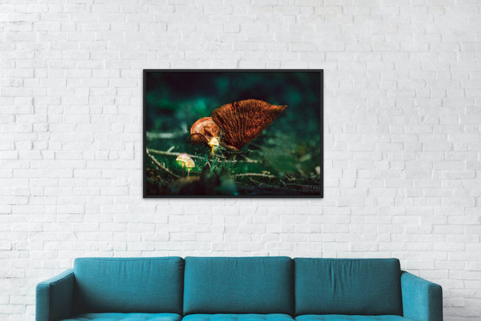 Mushroom "Lucian"- Fine Art Wall Art