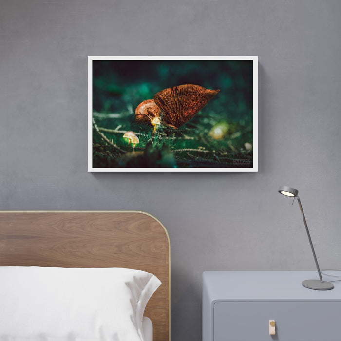Mushroom "Lucian"- Fine Art Wall Art