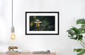 Mushroom "Marius"- Fine Art Wall Art