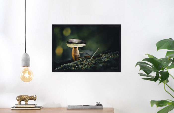 Mushroom "Marius"- Fine Art Wall Art