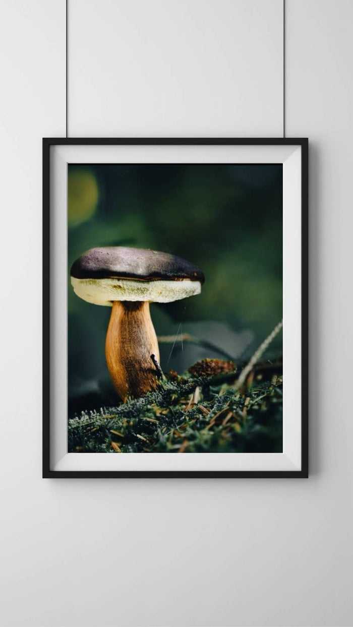 Mushroom "Marius"- Fine Art Wall Art