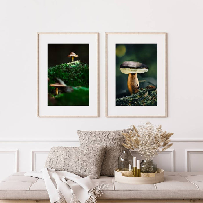 Mushroom "Marius"- Fine Art Wall Art