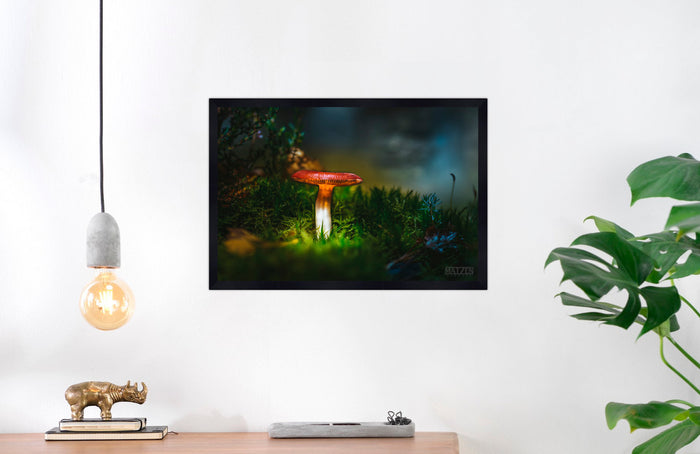 Mushroom "Rose"- Fine Art Wall Art