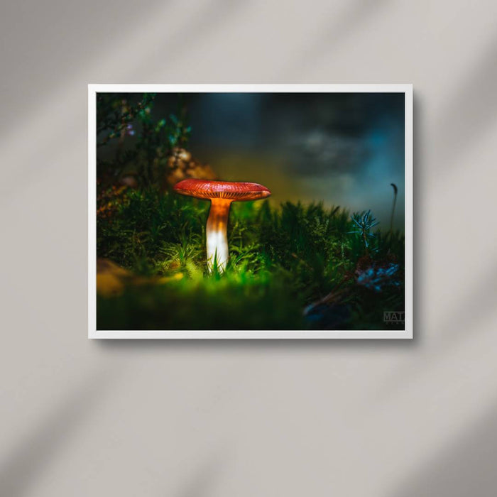 Mushroom "Rose"- Fine Art Wall Art