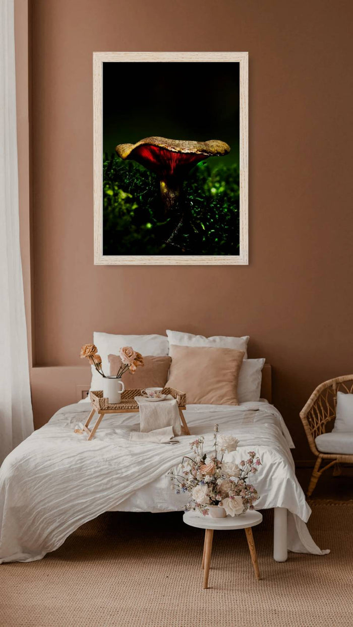 Mushroom "Silas"- Fine Art Wall Art