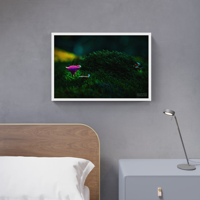 Mushroom "Stoney" - Fine Art Wall Art