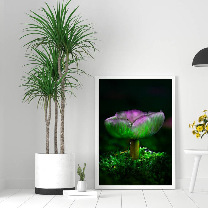 Mushroom "Symphonie"- Fine Art Wall Art