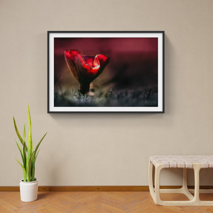 Mushroom "Vecna" - Fine Art Wall Art