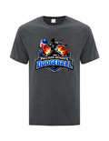 Palliser Heights Dodgeball