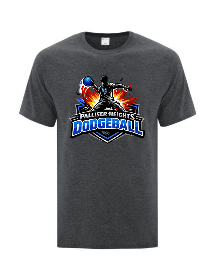 Palliser Heights Dodgeball